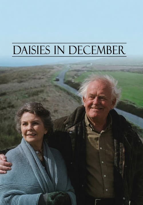 Daisies in December poster