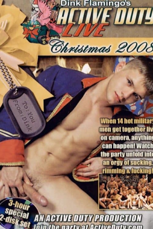 Dink Flamingo's Active Duty Live: Christmas 2008 poster