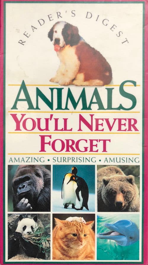 Animals You'll Never Forget