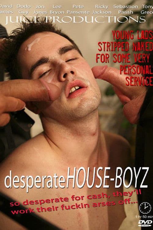 Desperate House Boyz poster