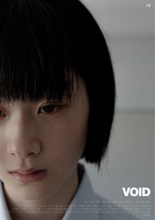Void poster