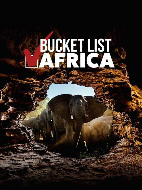 Bucket List: Africa poster