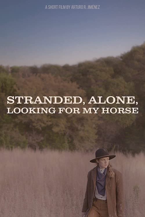 Stranded, Alone, Looking for my Horse poster