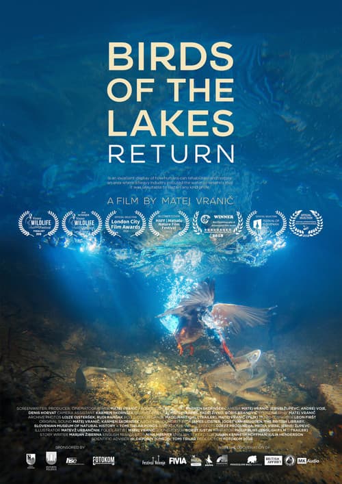 Birds of the Lakes Return poster