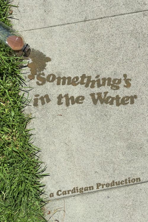 Something's in the Water poster