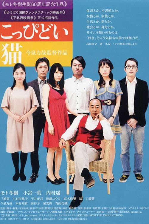 I Catch a Terrible Cat poster