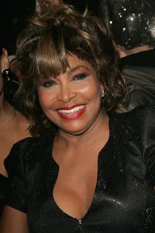 Tina Turner - Simply the Best poster