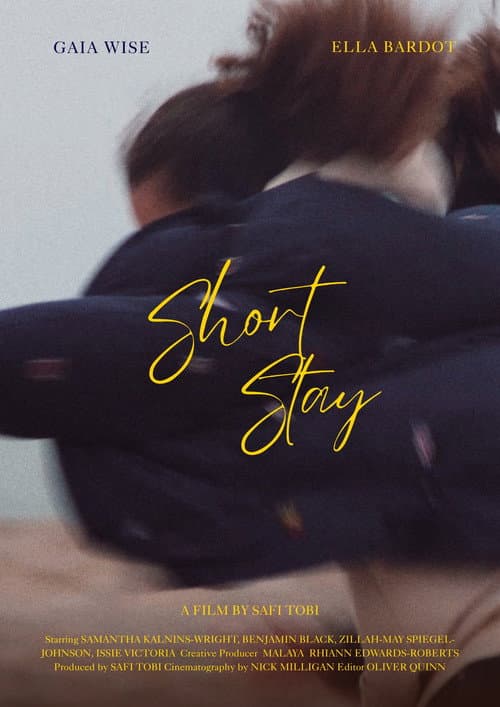 Short Stay poster