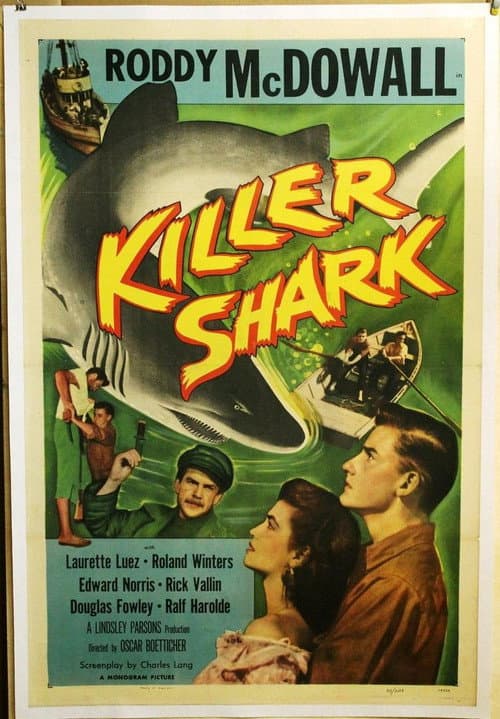 Killer Shark poster