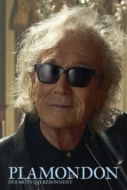 Plamondon: des mots qui résonnent poster