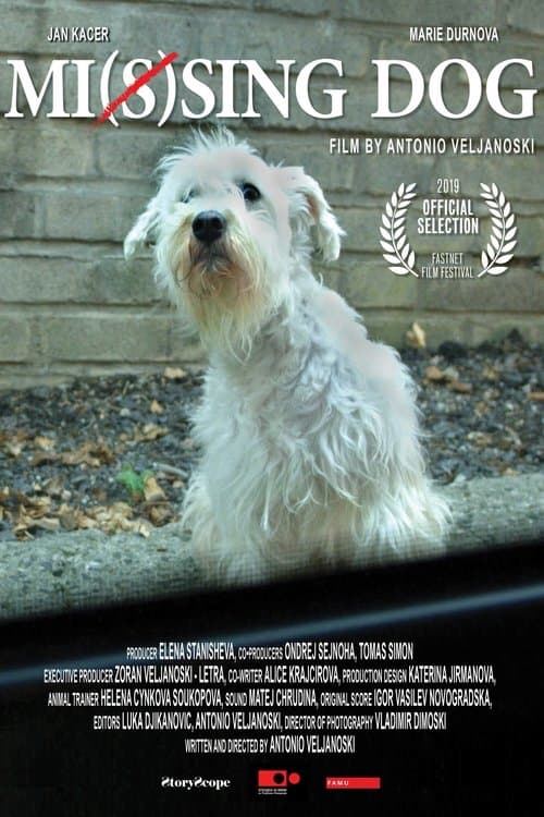 Mi(s)sing Dog poster