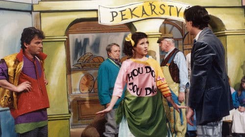 Kalhoty od krejčího ze Lhoty poster