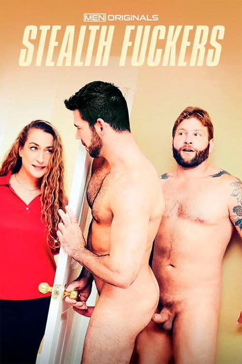 Stealth Fuckers poster