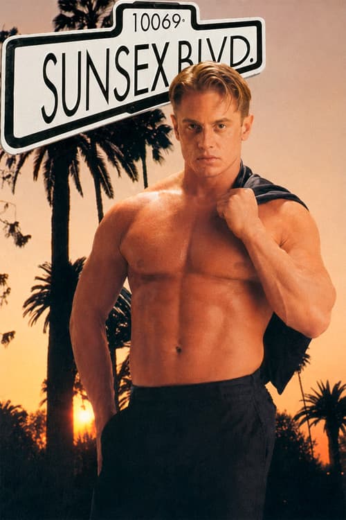 Sunsex Blvd. poster