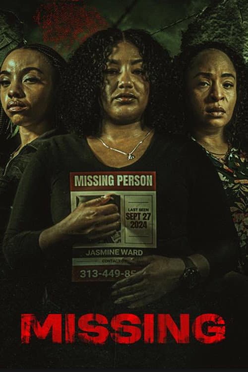 Missing poster