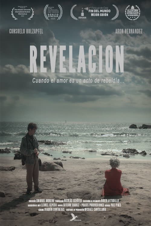 Revelación poster