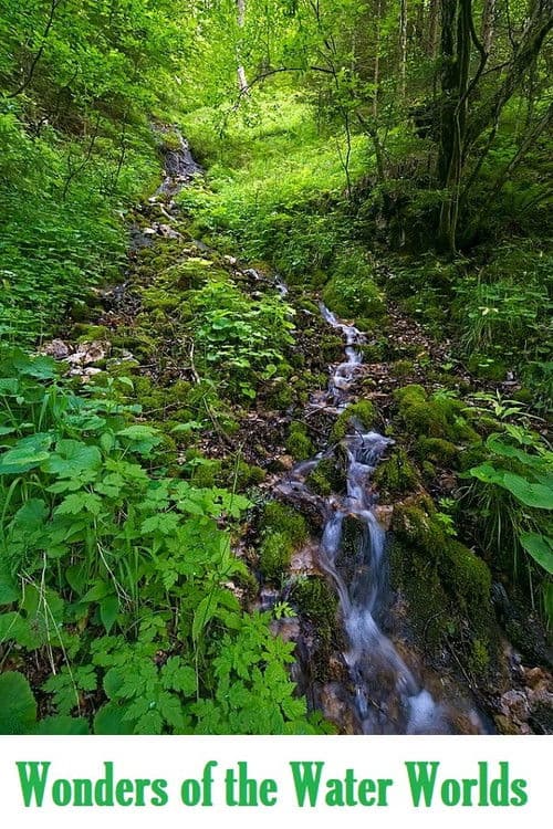 Wonders of the Water Worlds poster