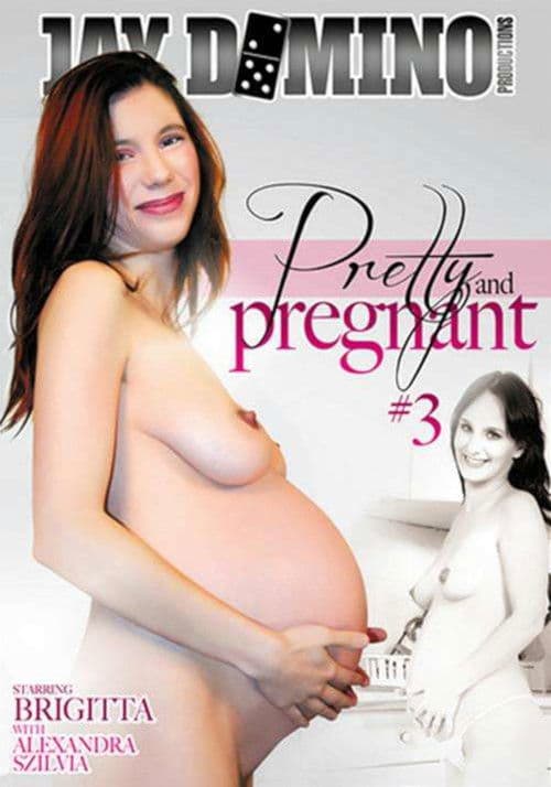 Pretty And Pregnant 3 poster