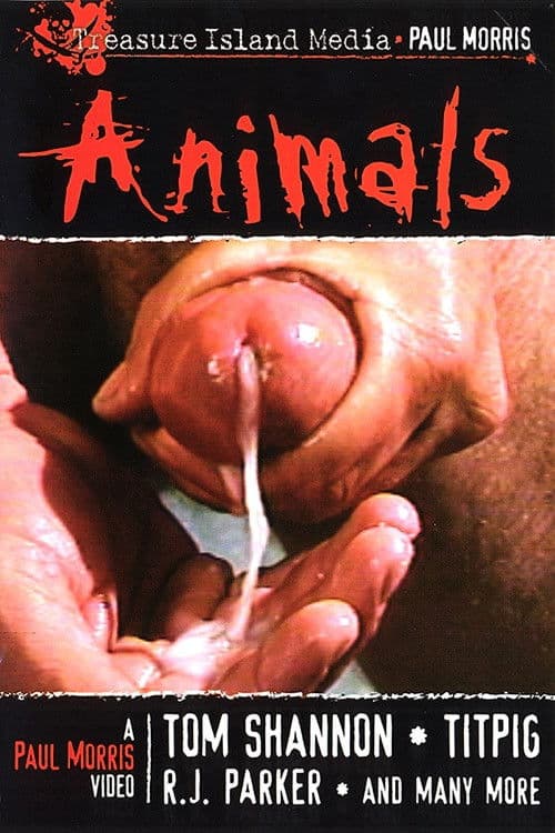 Animals poster
