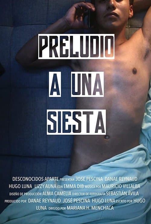 Preludio a una Siesta poster