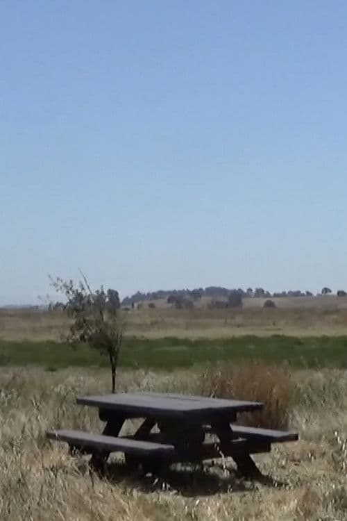 Ballad of a Wannabe Writer poster