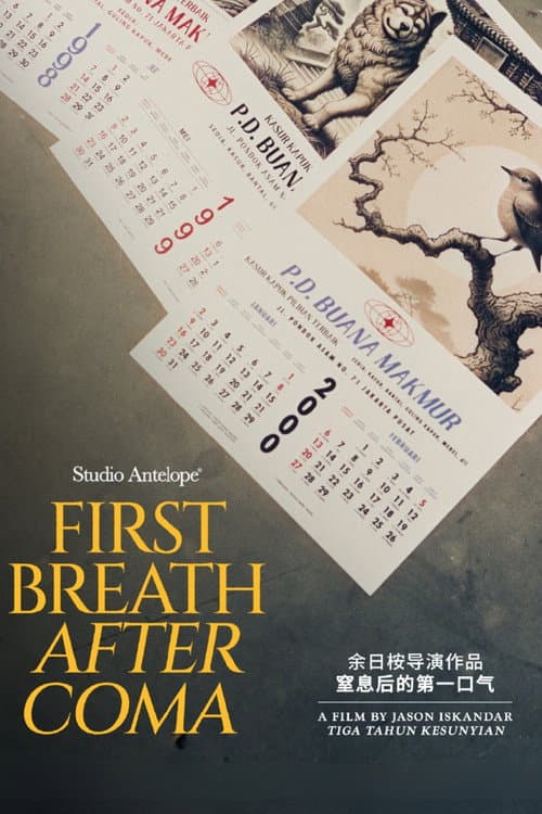 First Breath After Coma poster