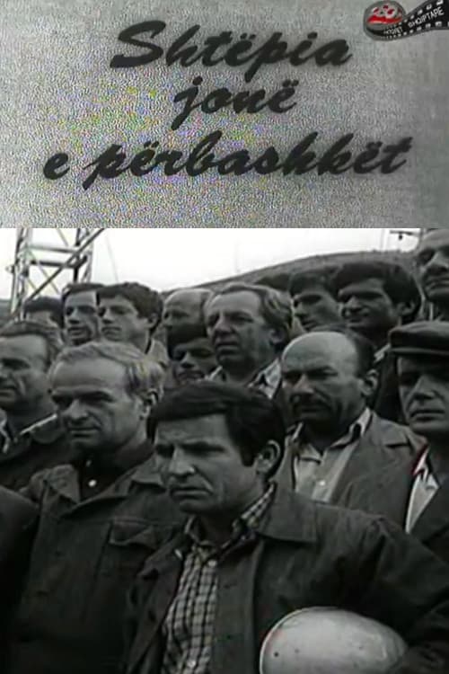 Our Shared House poster