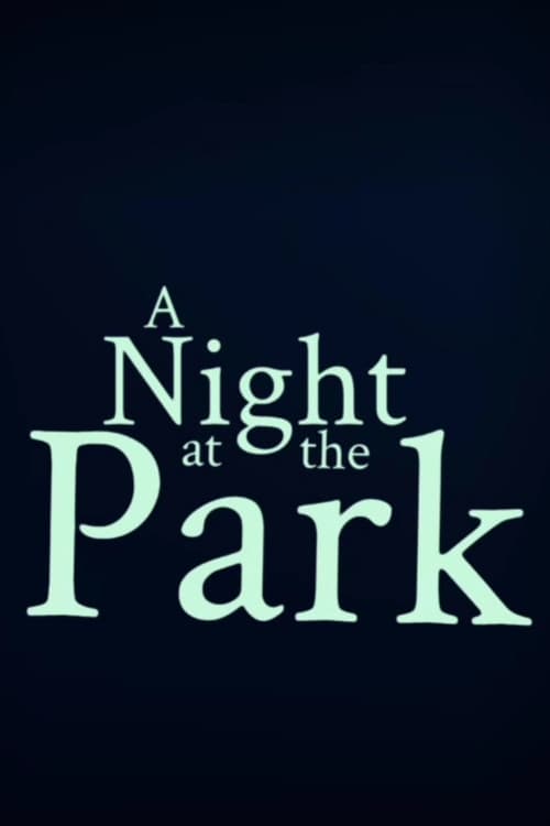 A Night at the Park poster