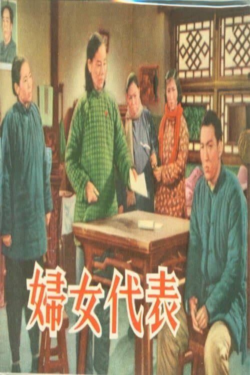 妇女代表 poster