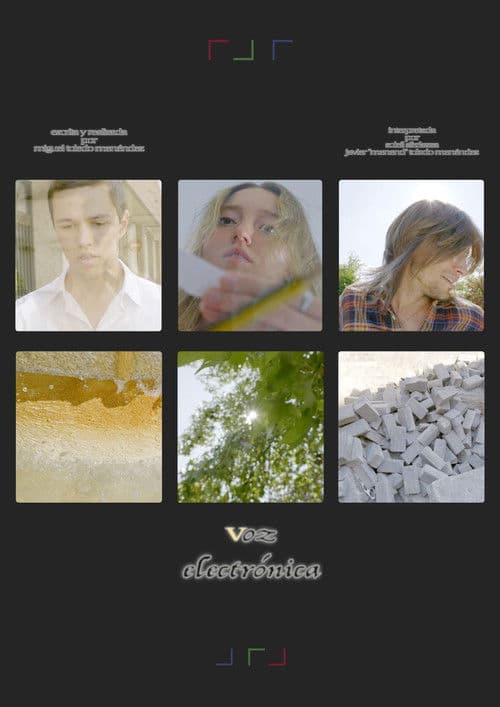 Electronic Voice poster