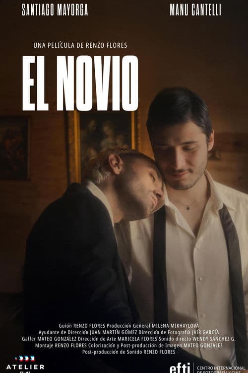 El novio poster