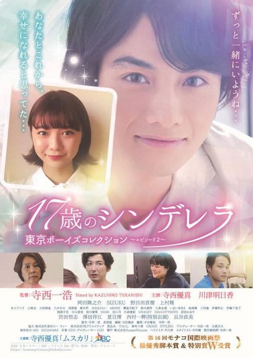 17歳のシンデレラ poster