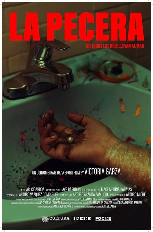 The Fish Tank poster