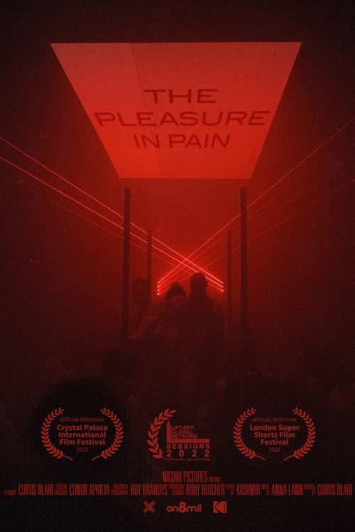 The Pleasure in Pain poster
