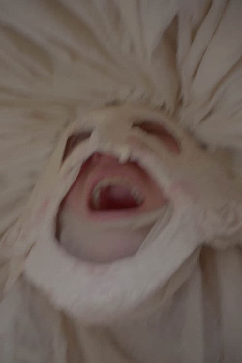 Le Roman de Remort, ou les fabliaux inhumains & vilains de l'Ultime Carnaval poster