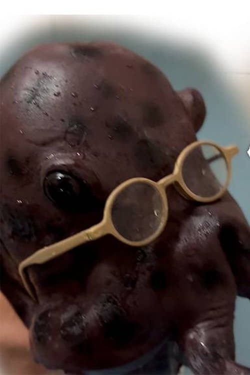 Nipple Hot Springs: The Octopus' Gratitude poster