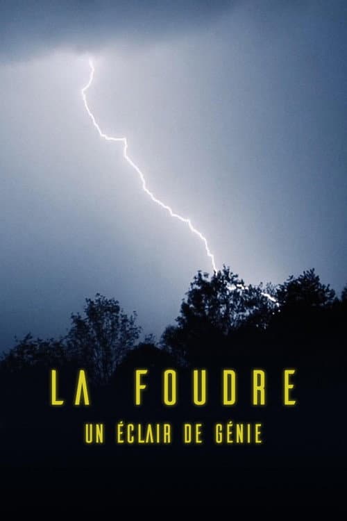 La foudre, un éclair de génie poster