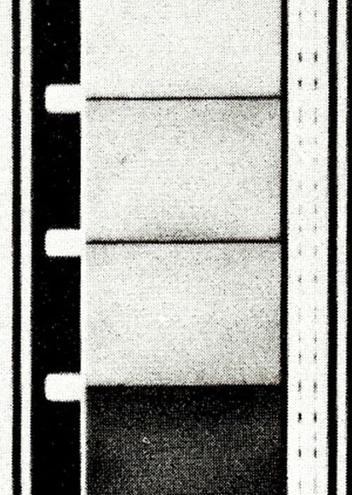 Os Sonacirema poster