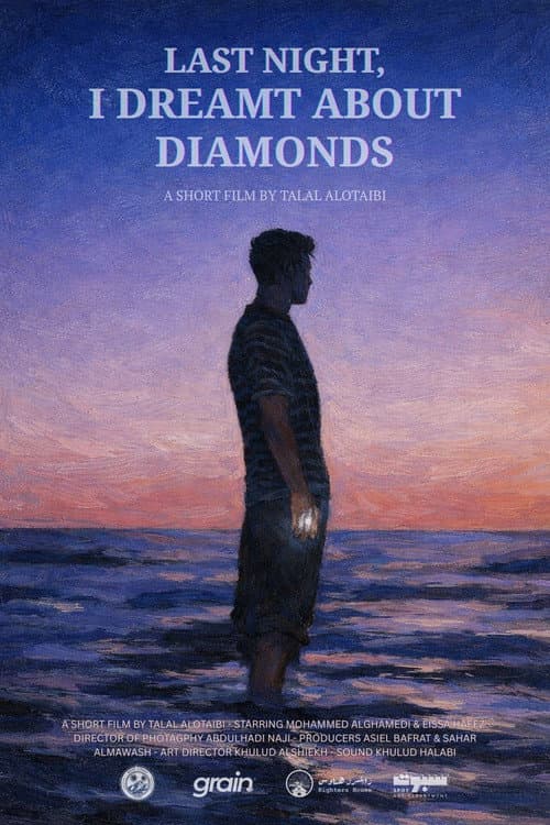 Last Night, I Dreamt About Diamonds poster