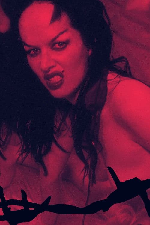 P.L.O.W.: Punk Ladies Of Wrestling poster