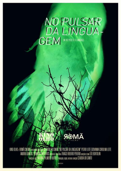 No Pulsar da Linguagem