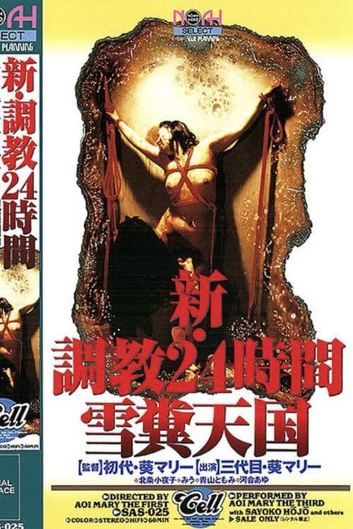 新・調教24時間 雪糞天国 poster