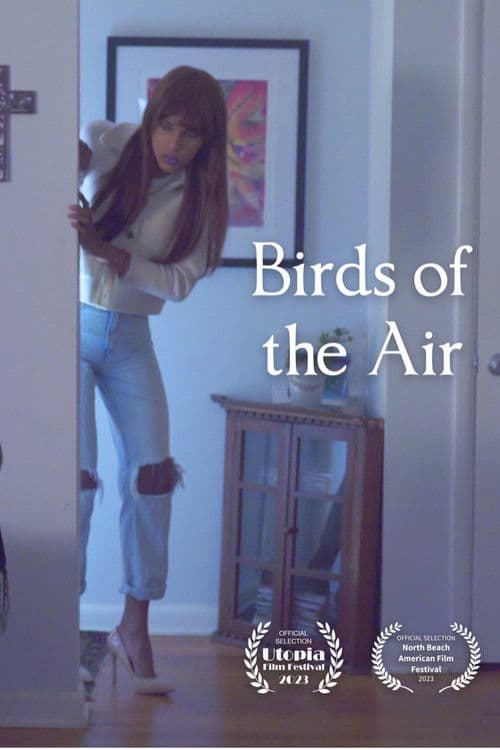 Birds of the Air poster