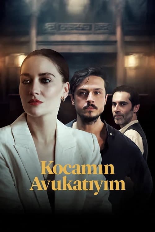 Kocamin Avukatiyim poster