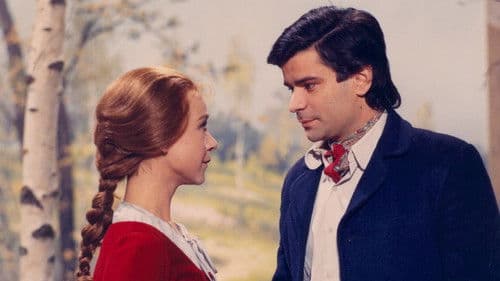 Paličova dcera poster