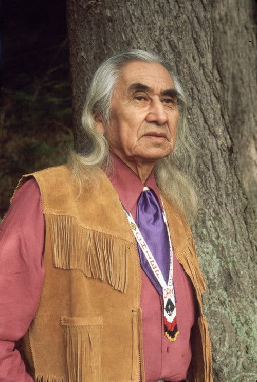 Chief Dan George profile photo