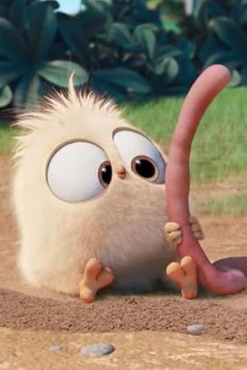 小鸟与蚯蚓 poster