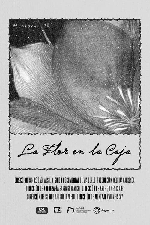The Flower in the Box poster