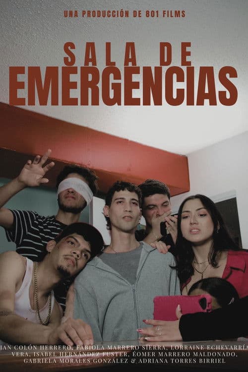 Emergency Room poster