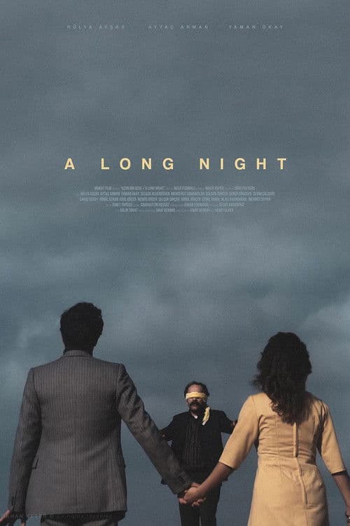 A Long Night poster